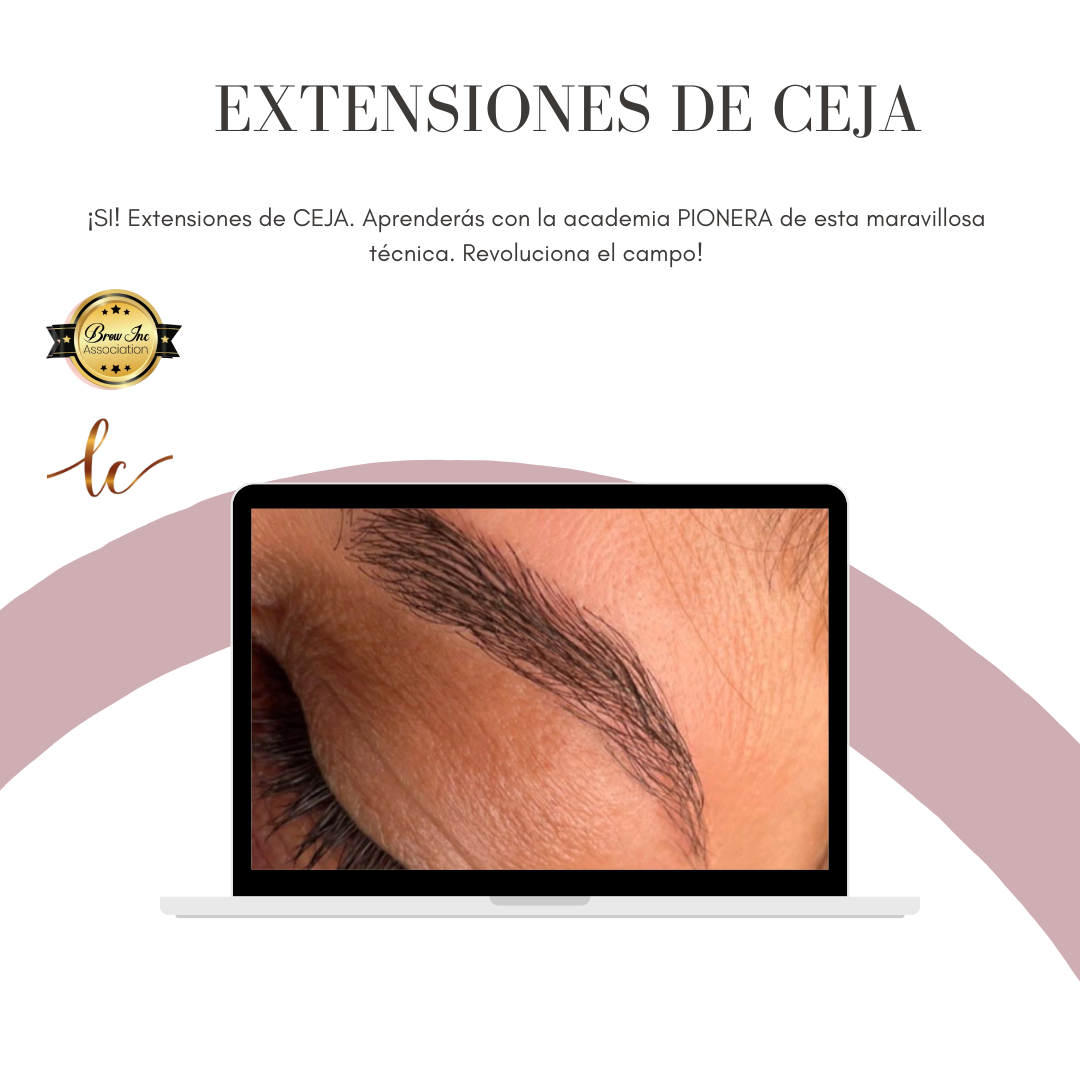 EXTENSIONES de CEJA